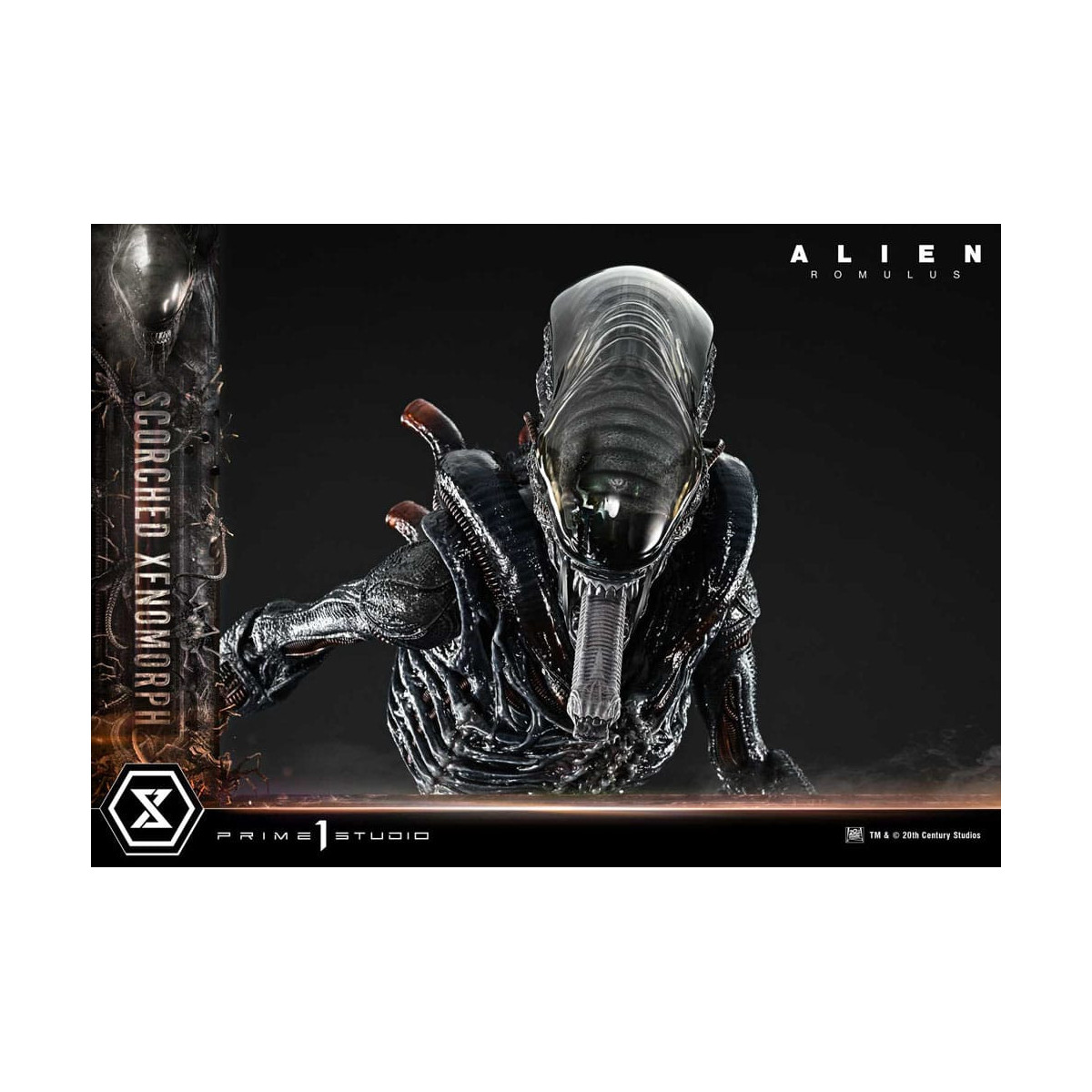 Prime 1 Studio - Scorched Xenomorph Deluxe Version 1/3 - Alien: Museo Romulus Masterline XL