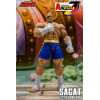 Storm Collectibles - SAGAT - Street Fighter Alpha Storm Arena 1/12