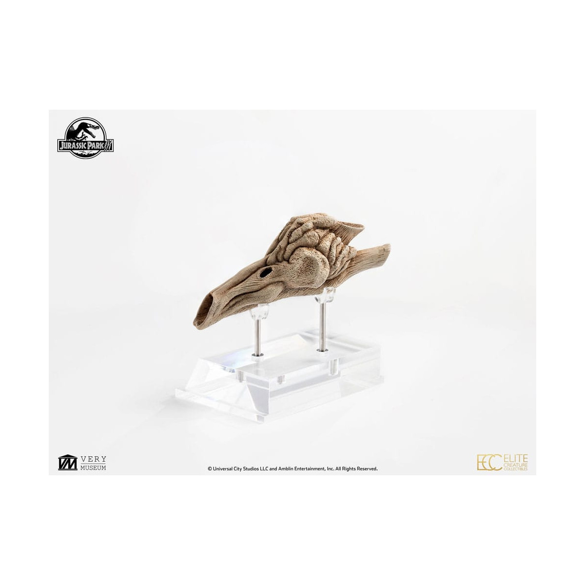 Coleccionables de criaturas de élite ECC - Jurassic Park 3 Velociraptor Cámara de resonancia 1/1