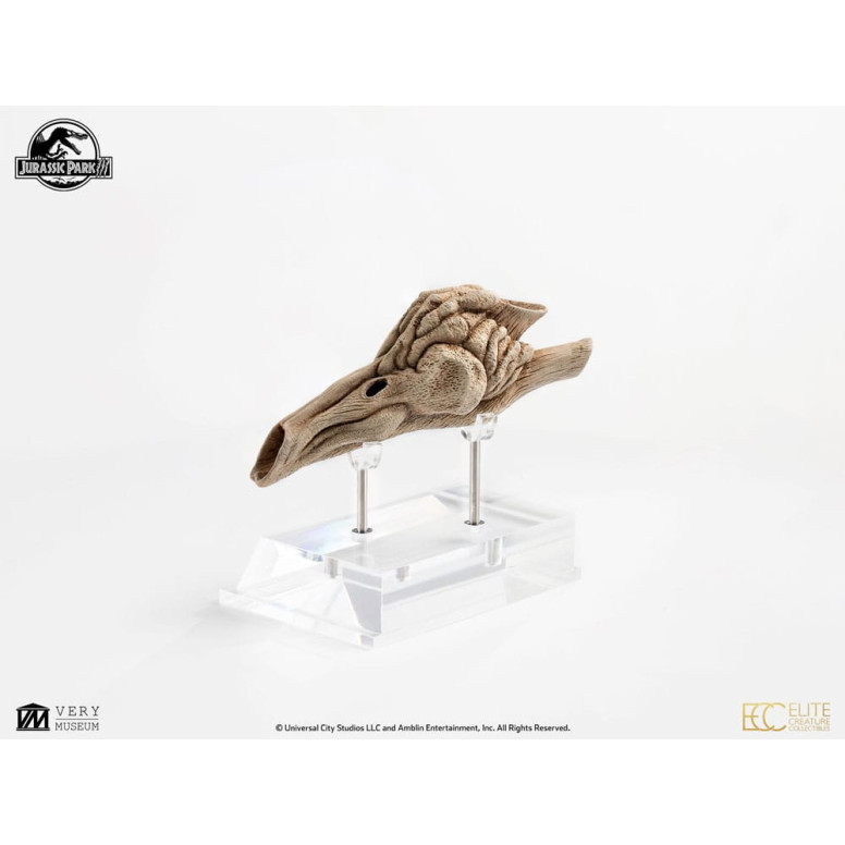 Coleccionables de criaturas de élite ECC - Jurassic Park 3 Velociraptor Cámara de resonancia 1/1