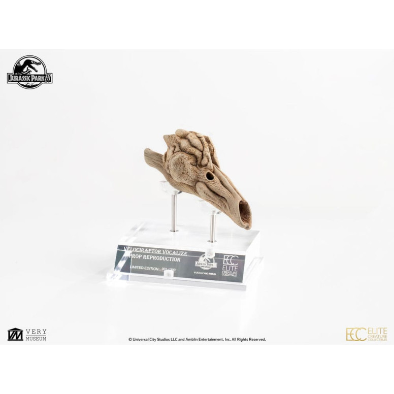 Coleccionables de criaturas de élite ECC - Jurassic Park 3 Velociraptor Cámara de resonancia 1/1