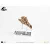 Coleccionables de criaturas de élite ECC - Jurassic Park 3 Velociraptor Cámara de resonancia 1/1
