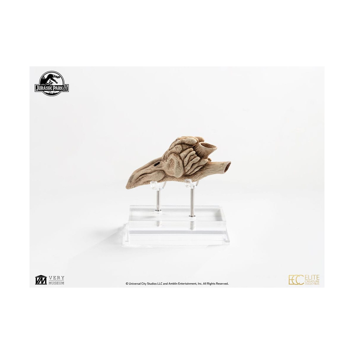 Coleccionables de criaturas de élite ECC - Jurassic Park 3 Velociraptor Cámara de resonancia 1/1