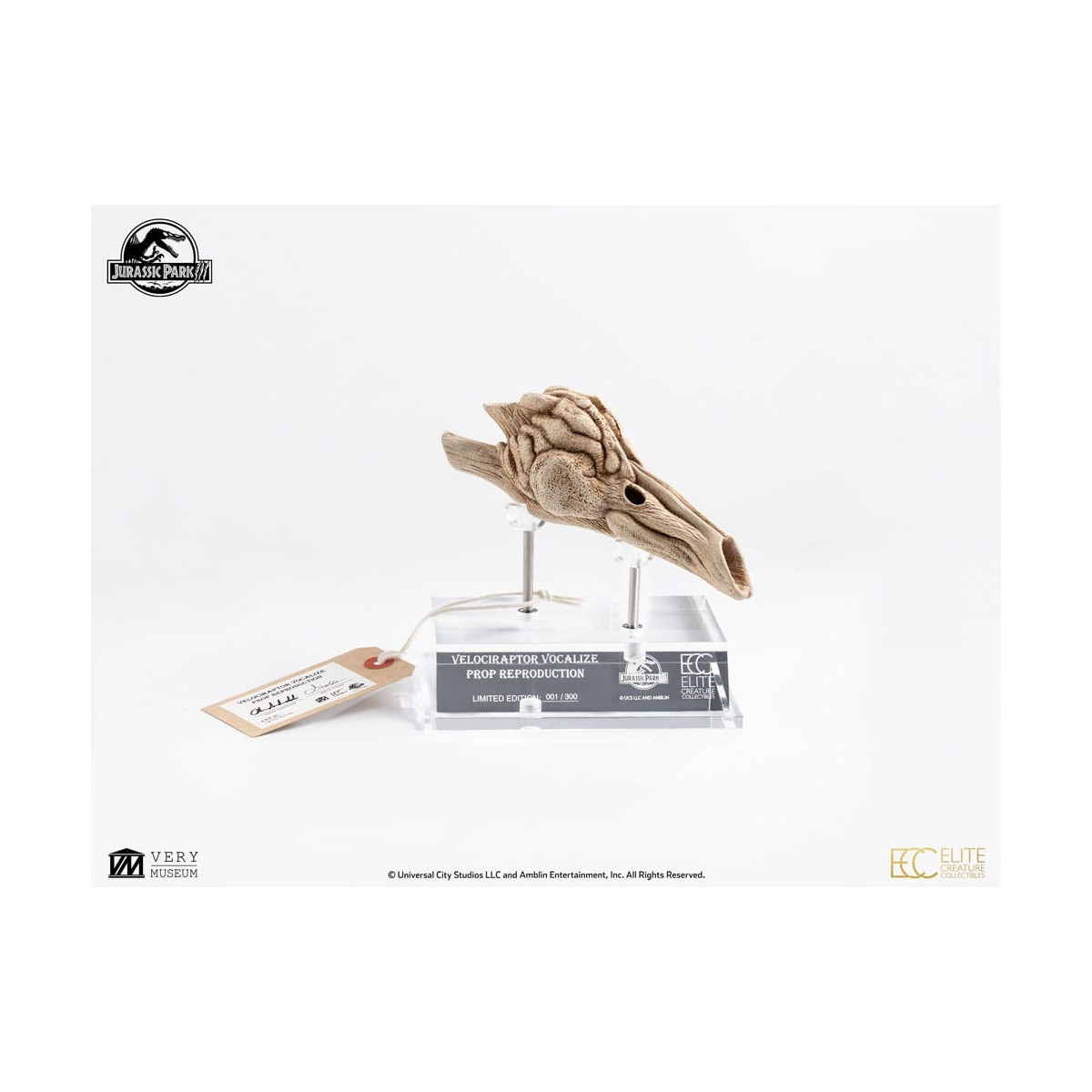 Coleccionables de criaturas de élite ECC - Jurassic Park 3 Velociraptor Cámara de resonancia 1/1