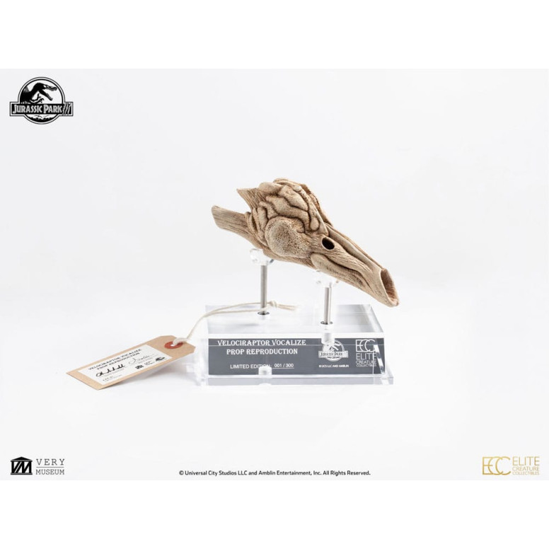 Coleccionables de criaturas de élite ECC - Jurassic Park 3 Velociraptor Cámara de resonancia 1/1