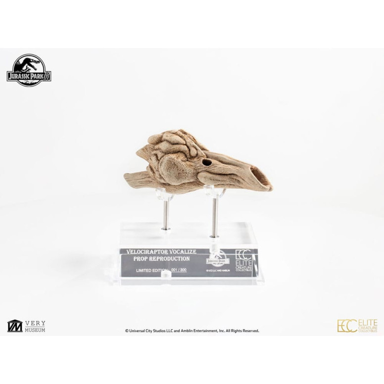 Coleccionables de criaturas de élite ECC - Jurassic Park 3 Velociraptor Cámara de resonancia 1/1