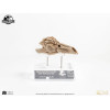 Coleccionables de criaturas de élite ECC - Jurassic Park 3 Velociraptor Cámara de resonancia 1/1