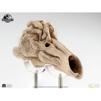 Coleccionables de criaturas de élite ECC - Jurassic Park 3 Velociraptor Cámara de resonancia 1/1