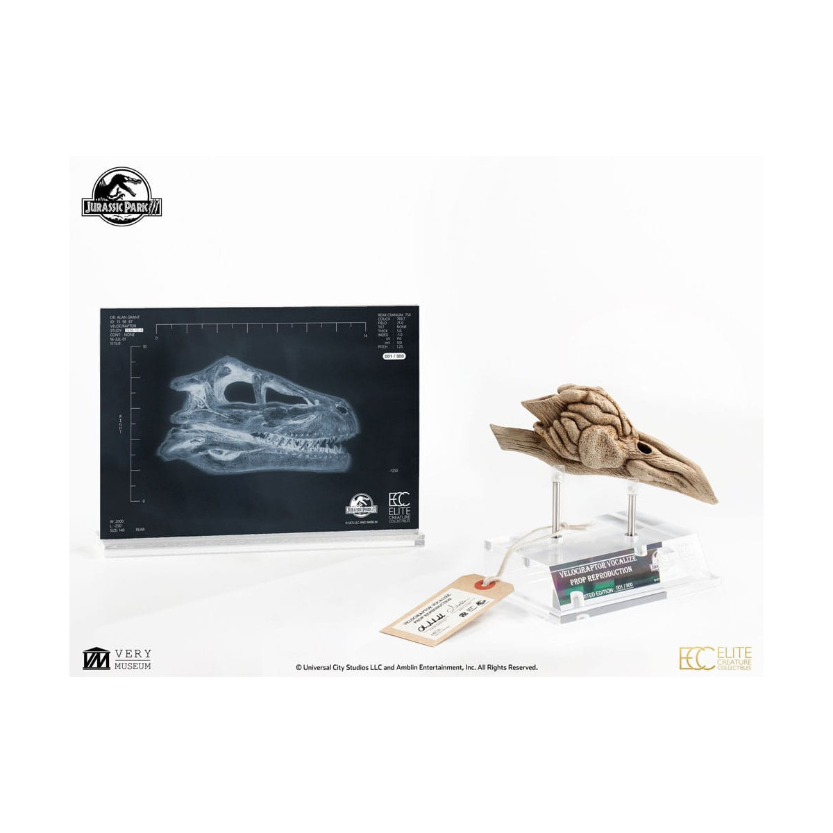 Coleccionables de criaturas de élite ECC - Jurassic Park 3 Velociraptor Cámara de resonancia 1/1