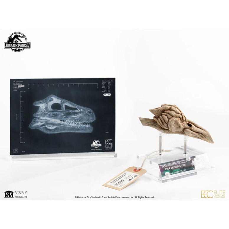 Coleccionables de criaturas de élite ECC - Jurassic Park 3 Velociraptor Cámara de resonancia 1/1