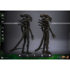 Hot Toys - Alien - Big Chap v2 MMS 1/6