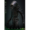 Hot Toys - Alien - Big Chap v2 MMS 1/6