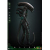 Hot Toys - Alien - Big Chap v2 MMS 1/6