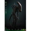 Hot Toys - Alien - Big Chap v2 MMS 1/6