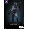 Hot Toys Star Wars - Tropa del Escuadrón de Élite 1/6 - The Bad Batch Hot Toys Exclusive TMS150