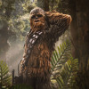 Iron Studios Star Wars - Chewbacca y Tokkat Arte Escala 1/10 - El Retorno del Jedi