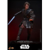 Hot toys Star Wars: Anakin Skywalker MMS839 1/6 - Episodio III: La venganza de los Sith