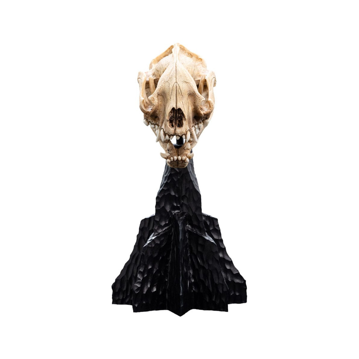 Weta - El Señor de los Anillos - Cráneo de Warg - LOTR