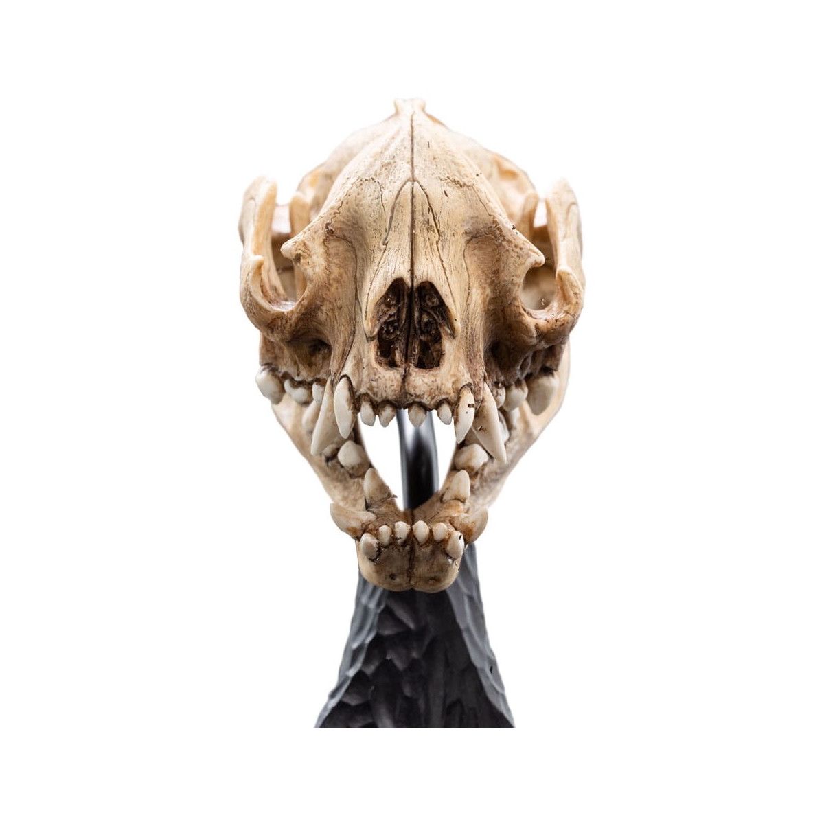 Weta - El Señor de los Anillos - Cráneo de Warg - LOTR
