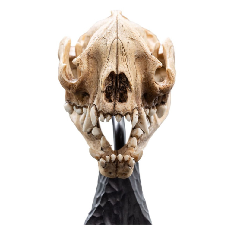 Weta - El Señor de los Anillos - Cráneo de Warg - LOTR