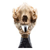 Weta - El Señor de los Anillos - Cráneo de Warg - LOTR