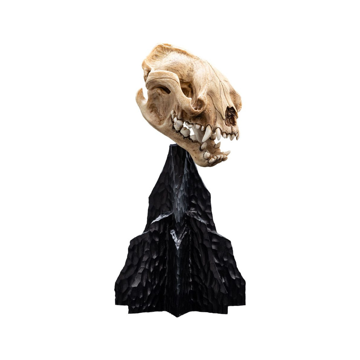 Weta - El Señor de los Anillos - Cráneo de Warg - LOTR