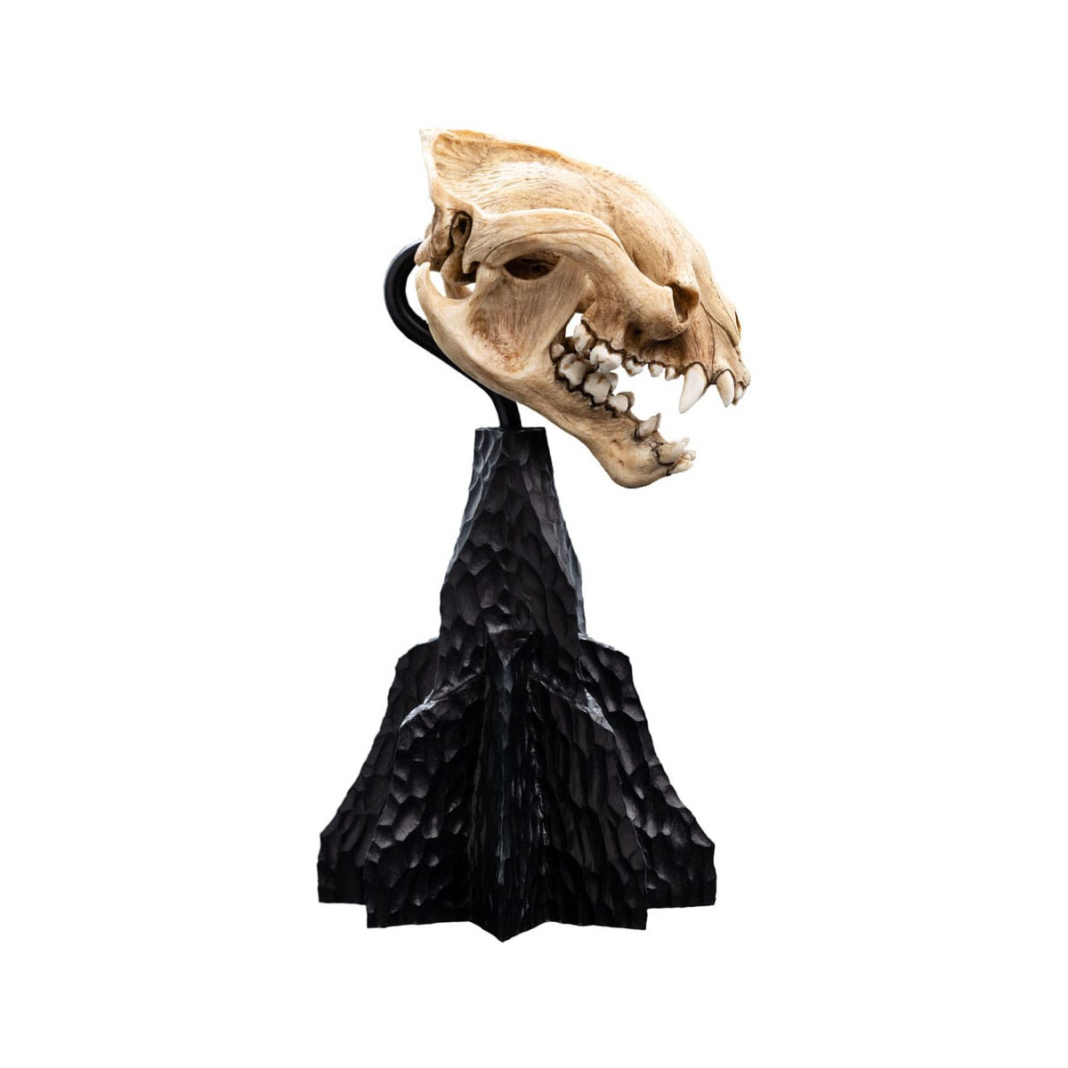 Weta - El Señor de los Anillos - Cráneo de Warg - LOTR