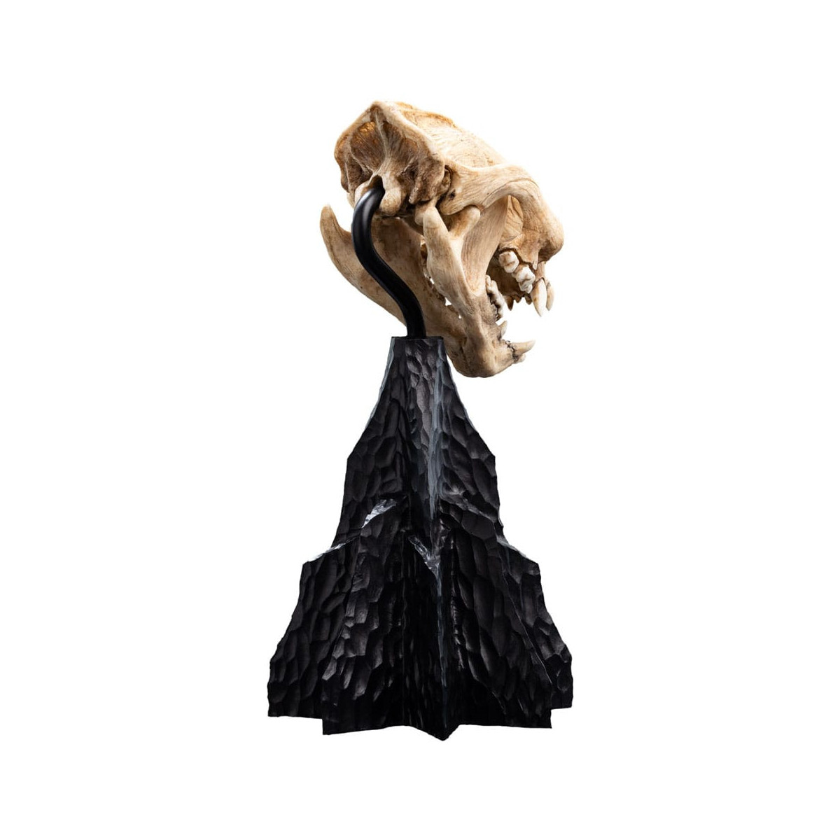 Weta - El Señor de los Anillos - Cráneo de Warg - LOTR