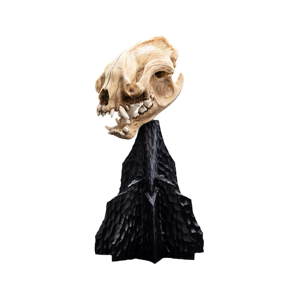 Weta - El Señor de los Anillos - Cráneo de Warg - LOTR