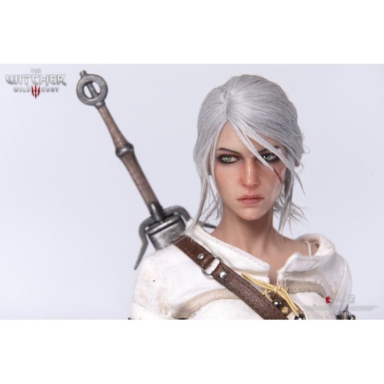 Pure Arts - The Witcher 3: Wild Hunt - Ciri de Cintra 1/6
