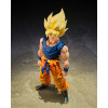 Bandai Tamashii - Dragon Ball Z - Super Saiyan Son Goku (Luchador de la Furia) - SHF SHFiguarts