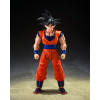 Bandai Tamashii - Dragon Ball Z - Son Goku (El Saiyan de buen corazón) - SHF SHFiguarts