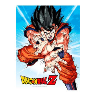 SD Toys - Póster de cristal de Dragonball Z "GOKU KAMEHA