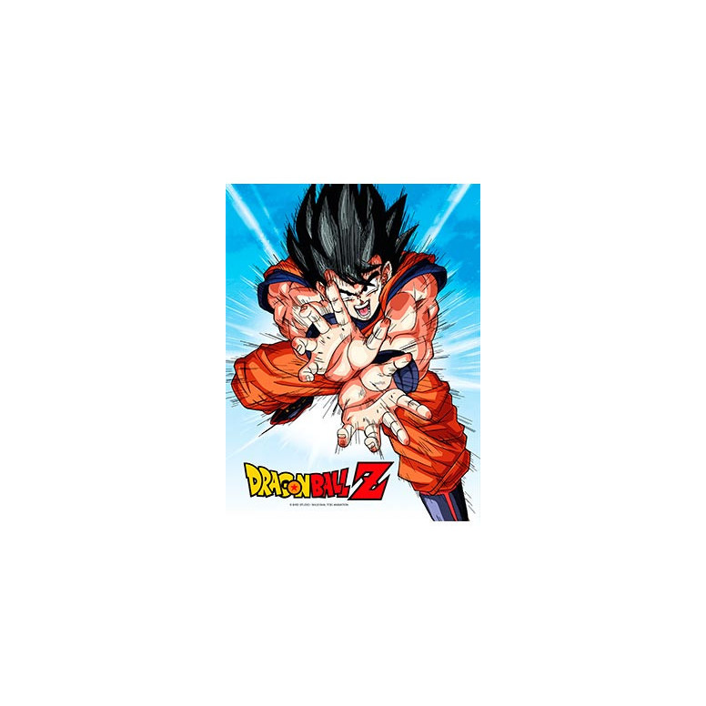 SD Toys - Póster de cristal de Dragonball Z "GOKU KAMEHA