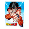 SD Toys - Póster de cristal de Dragonball Z "GOKU KAMEHA