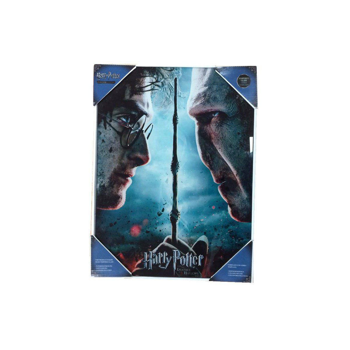 SD Toys - Póster de cristal de Harry Potter "Harry y Voldemort