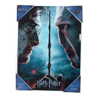 SD Toys - Póster de cristal de Harry Potter "Harry y Voldemort