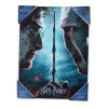 SD Toys - Póster de cristal de Harry Potter "Harry y Voldemort