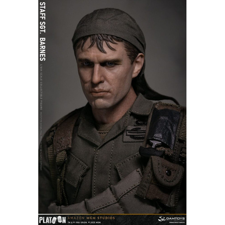 DAMTOYS - Pelotón - Sargento Barnes 1/6 Coleccionable