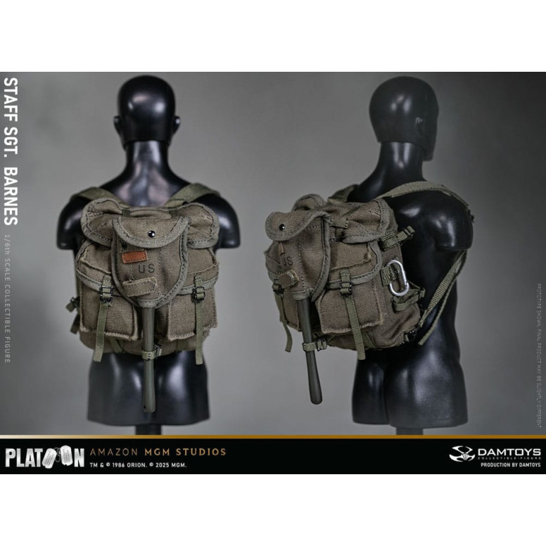 DAMTOYS - Pelotón - Sargento Barnes 1/6 Coleccionable