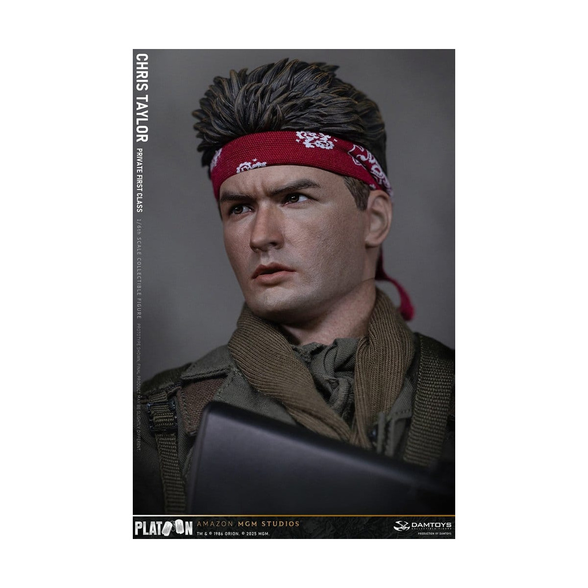 DAMTOYS - Platoon - Chris Taylor 1/6 Coleccionable