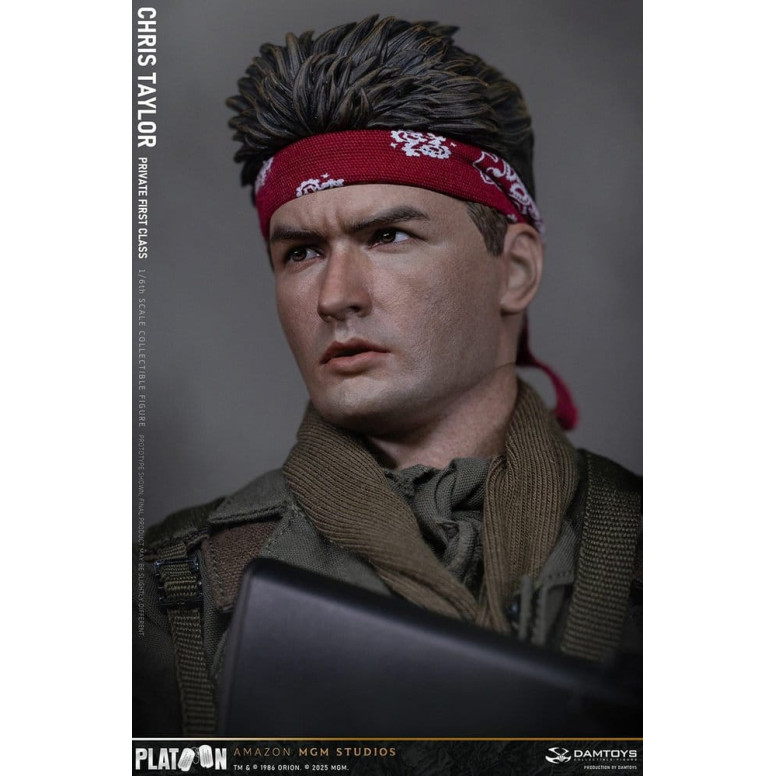 DAMTOYS - Platoon - Chris Taylor 1/6 Coleccionable