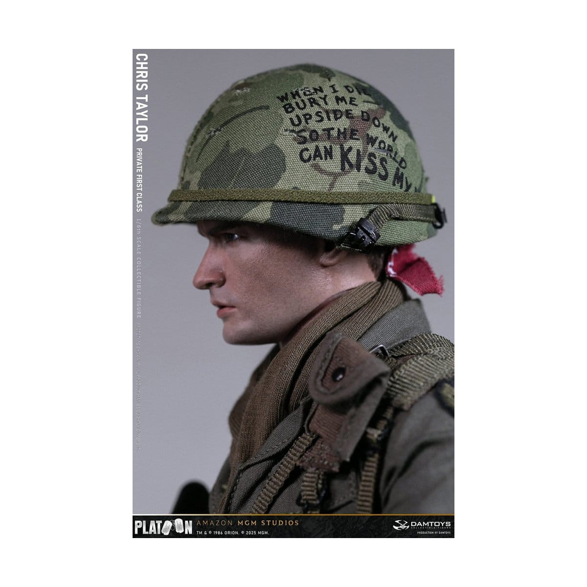 DAMTOYS - Platoon - Chris Taylor 1/6 Coleccionable