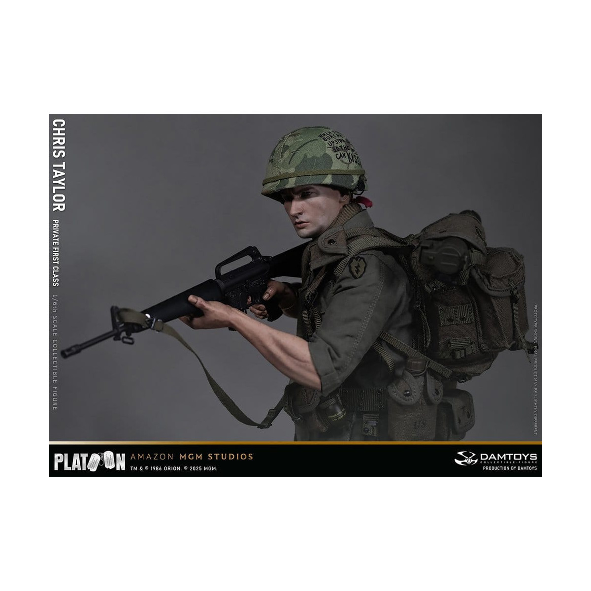 DAMTOYS - Platoon - Chris Taylor 1/6 Coleccionable