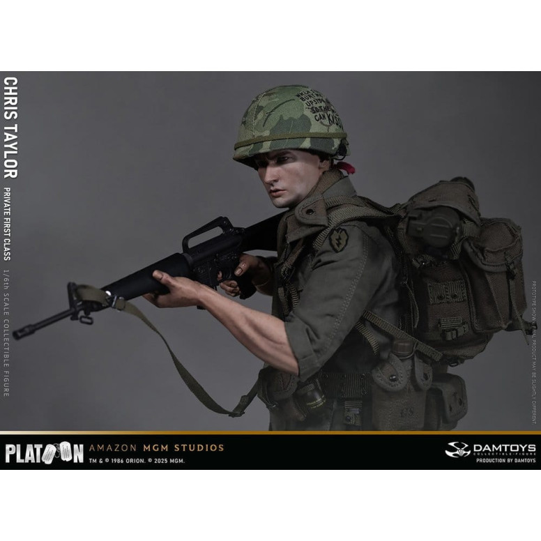 DAMTOYS - Platoon - Chris Taylor 1/6 Coleccionable
