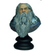 Weta -  Busto Darwen Lord 1/4 - El Señor de los Anillos - Segunda mano