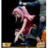 Cartoon Kingdom - Naruto (Equipo 7) 1/6 Edición Limitada