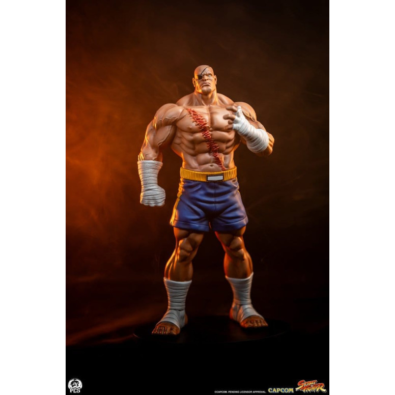 PCS - Street Fighter: Street Jam - Sagat & Juli Juego de estatuas a escala 1:10