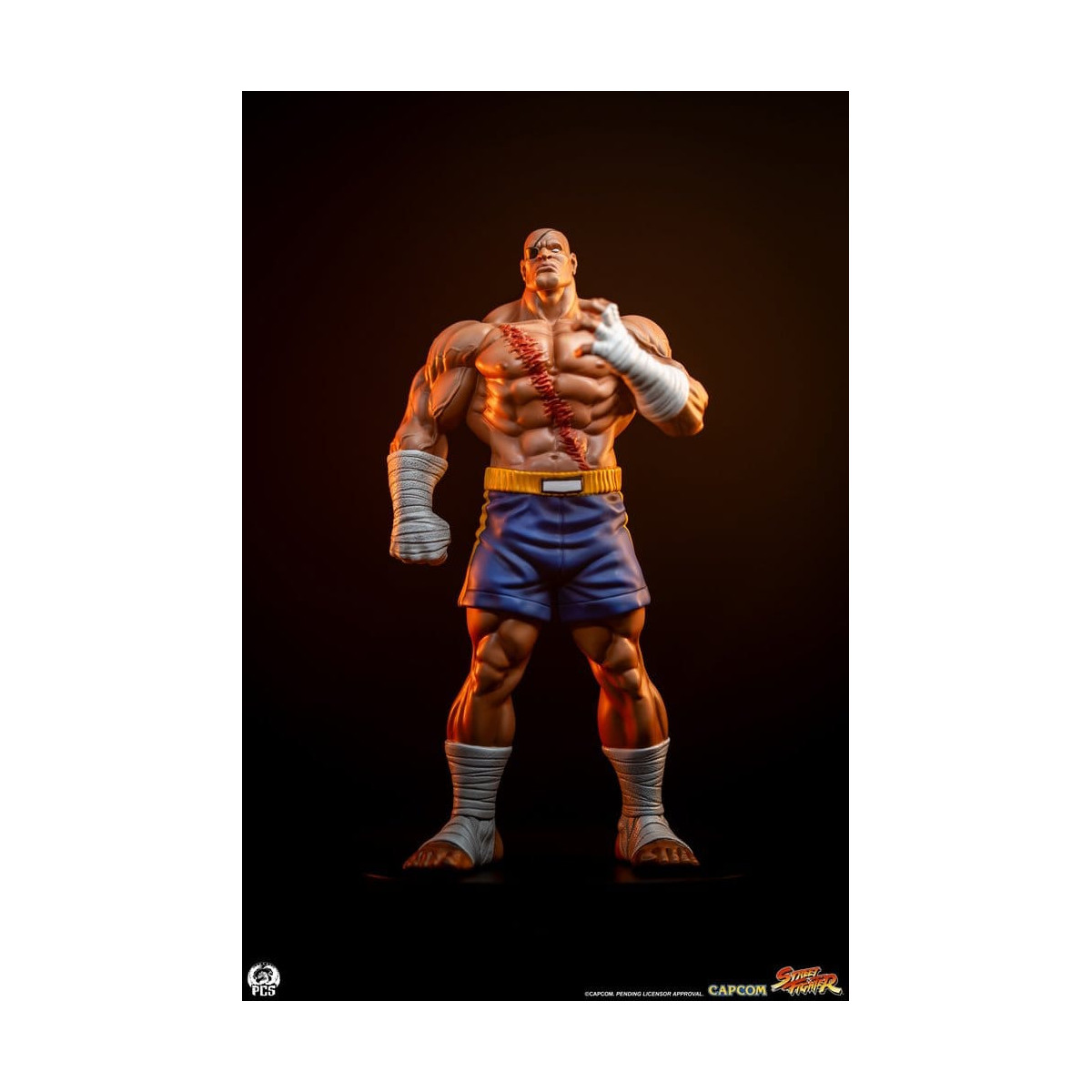 PCS - Street Fighter: Street Jam - Sagat & Juli Juego de estatuas a escala 1:10