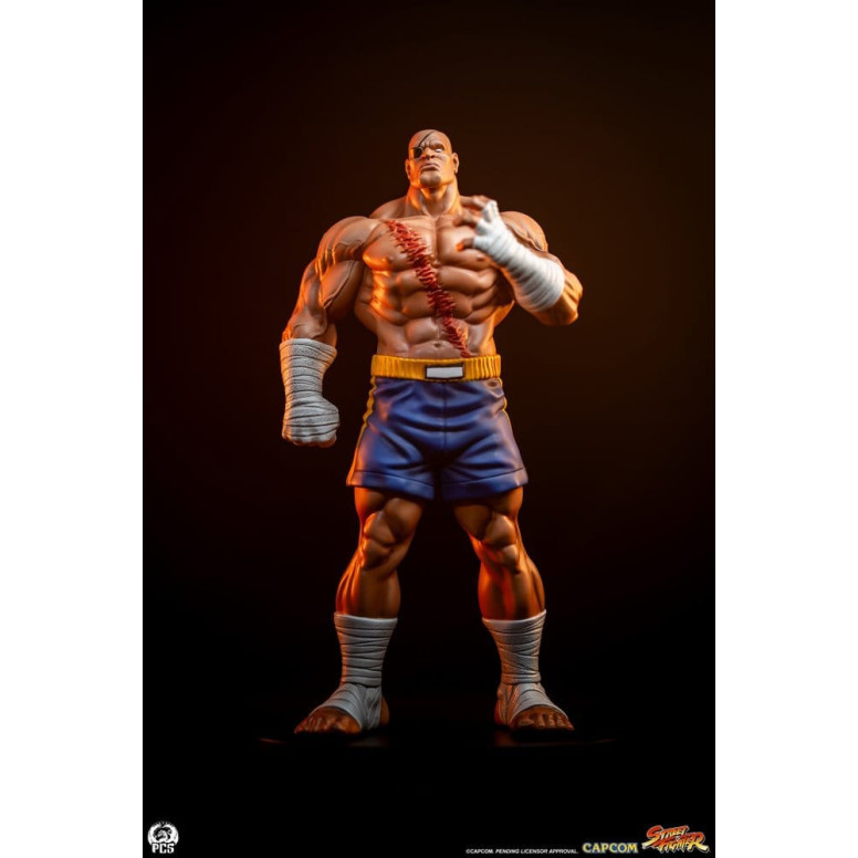 PCS - Street Fighter: Street Jam - Sagat & Juli Juego de estatuas a escala 1:10